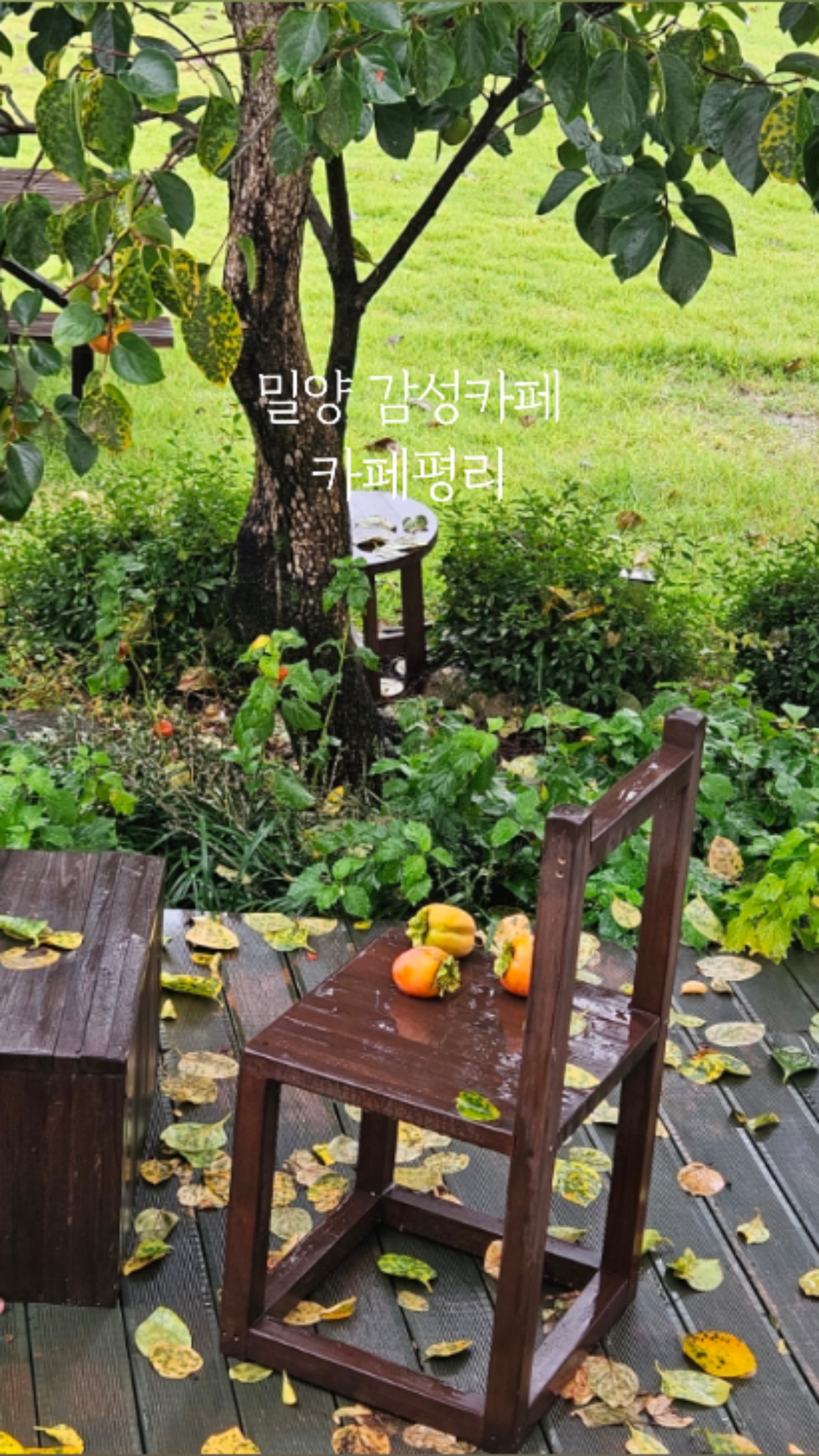 사진 6