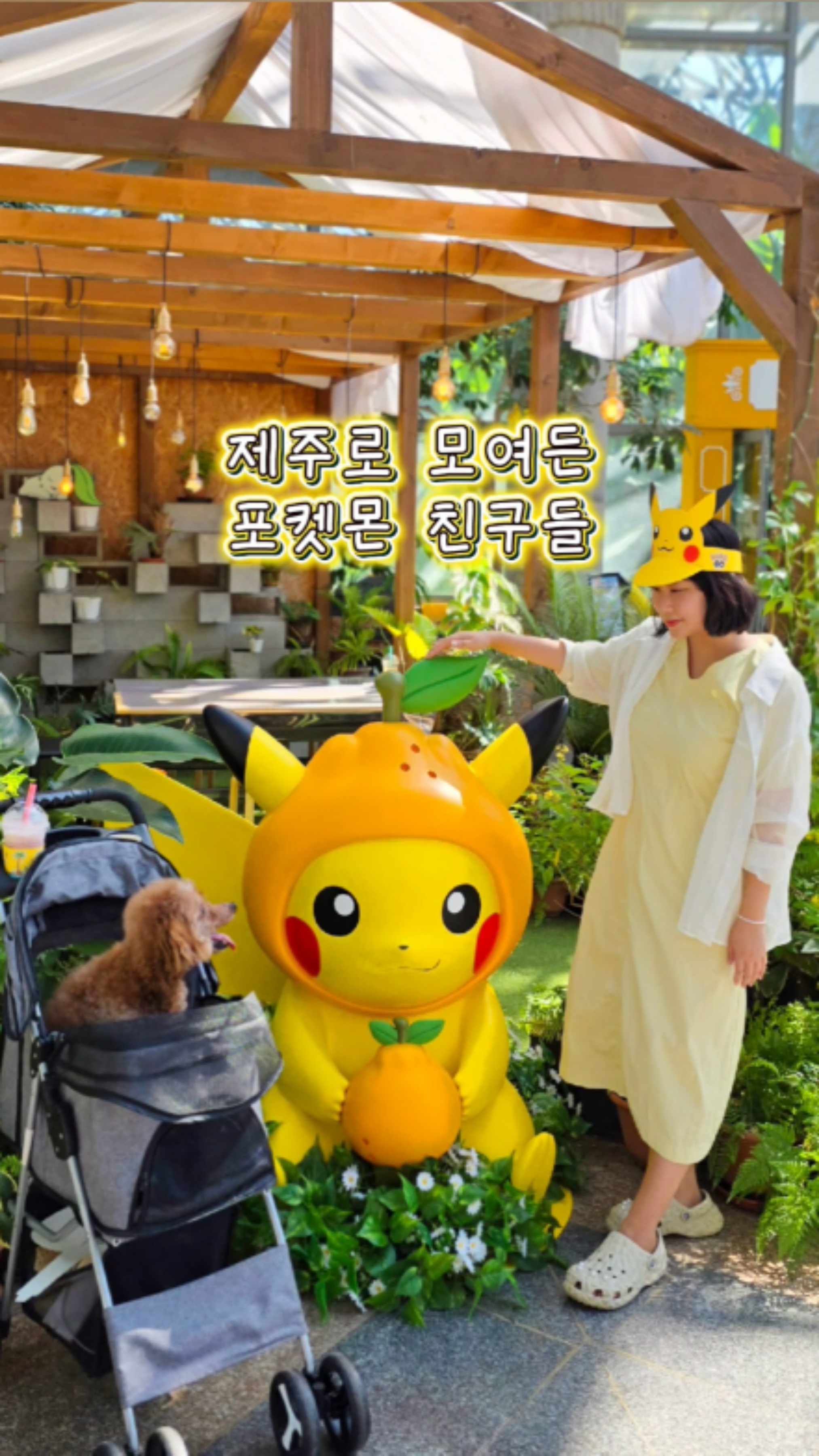 사진 7