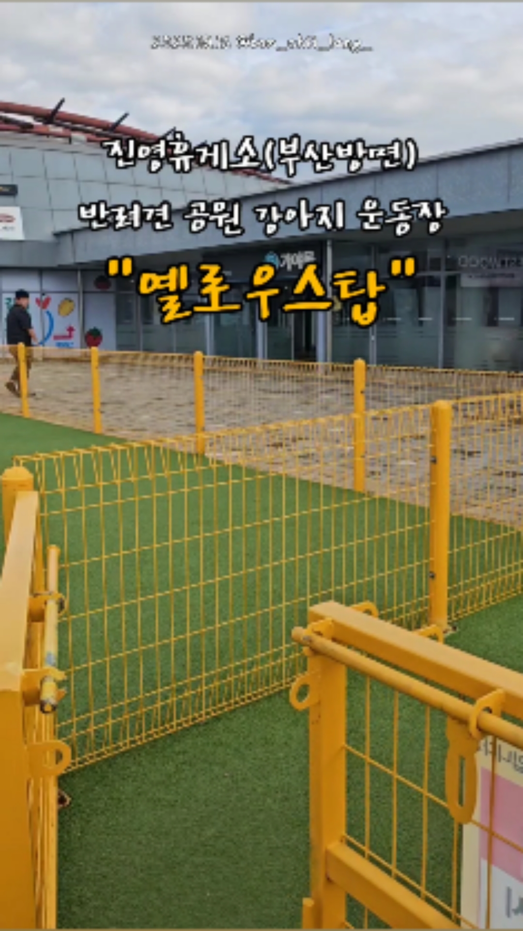 사진 8