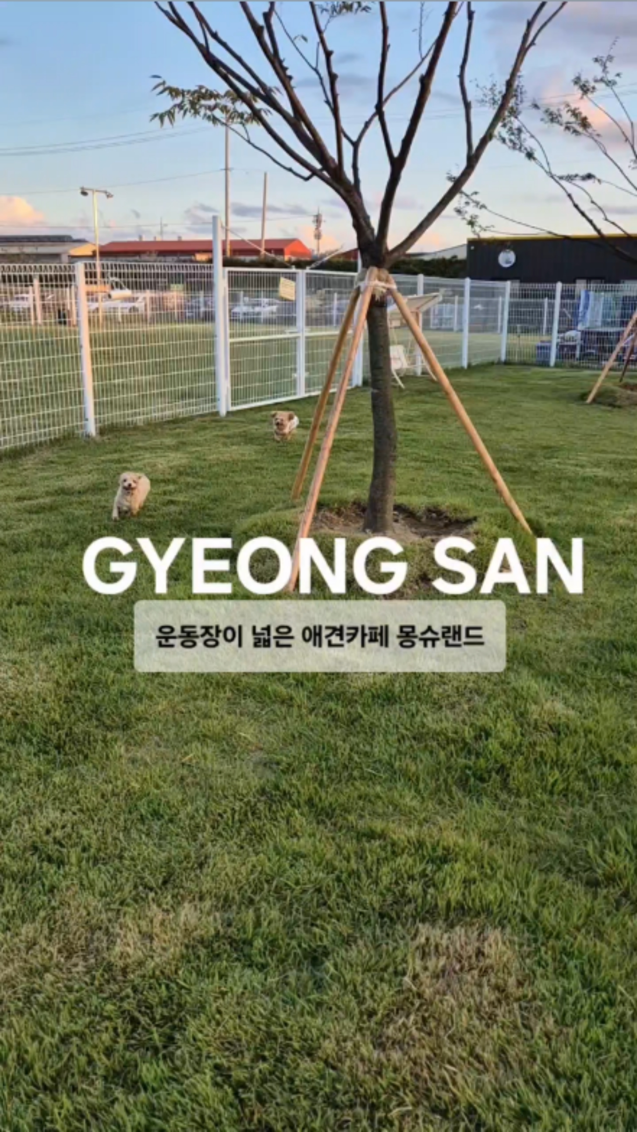 사진 7