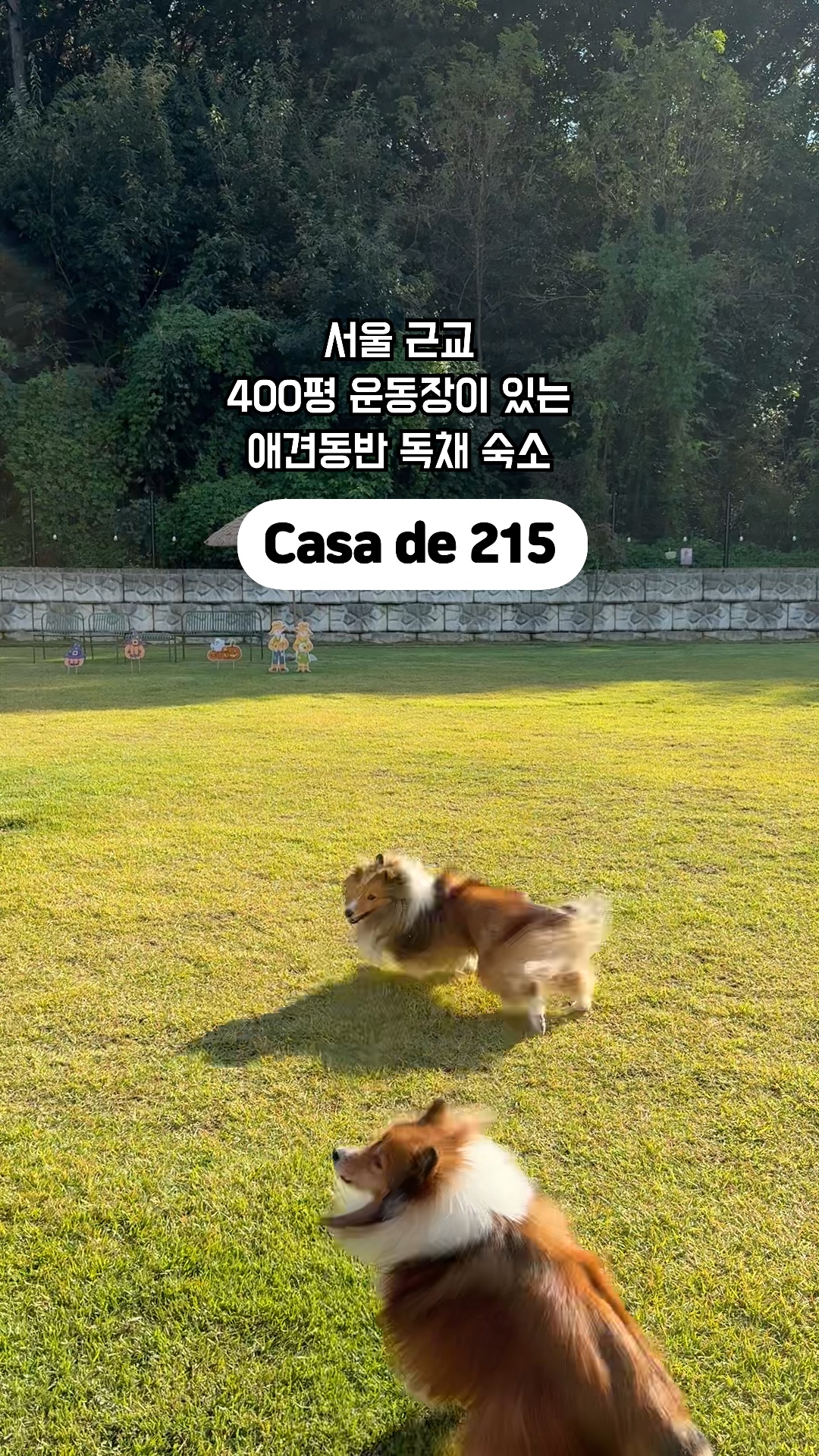 사진 13