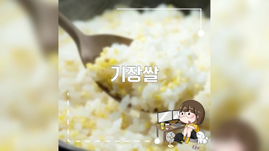 기장쌀 효능 건강 효과 - 네이버 TV