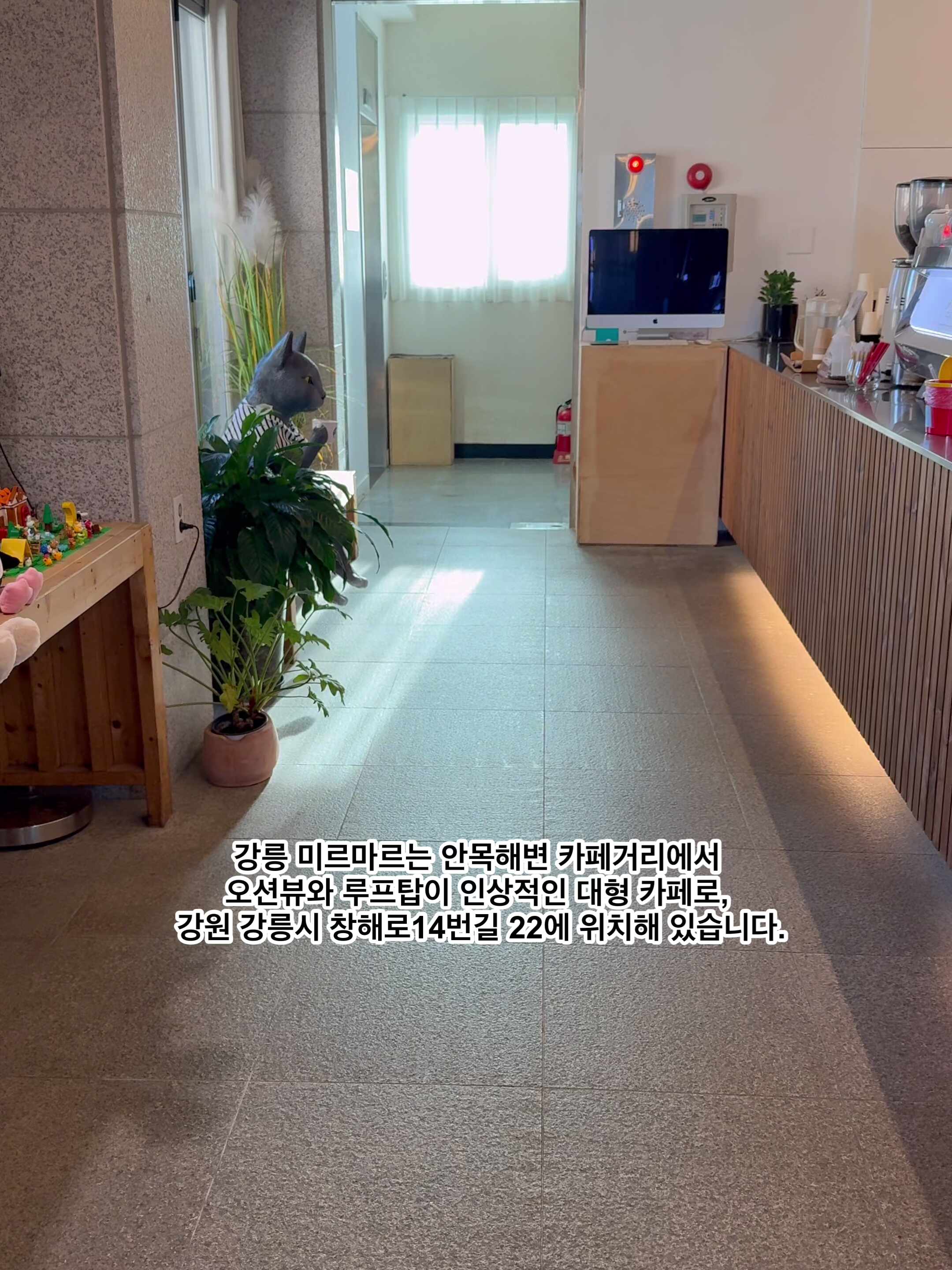 강릉 오션뷰 카페 드라이브 코스 미르마르