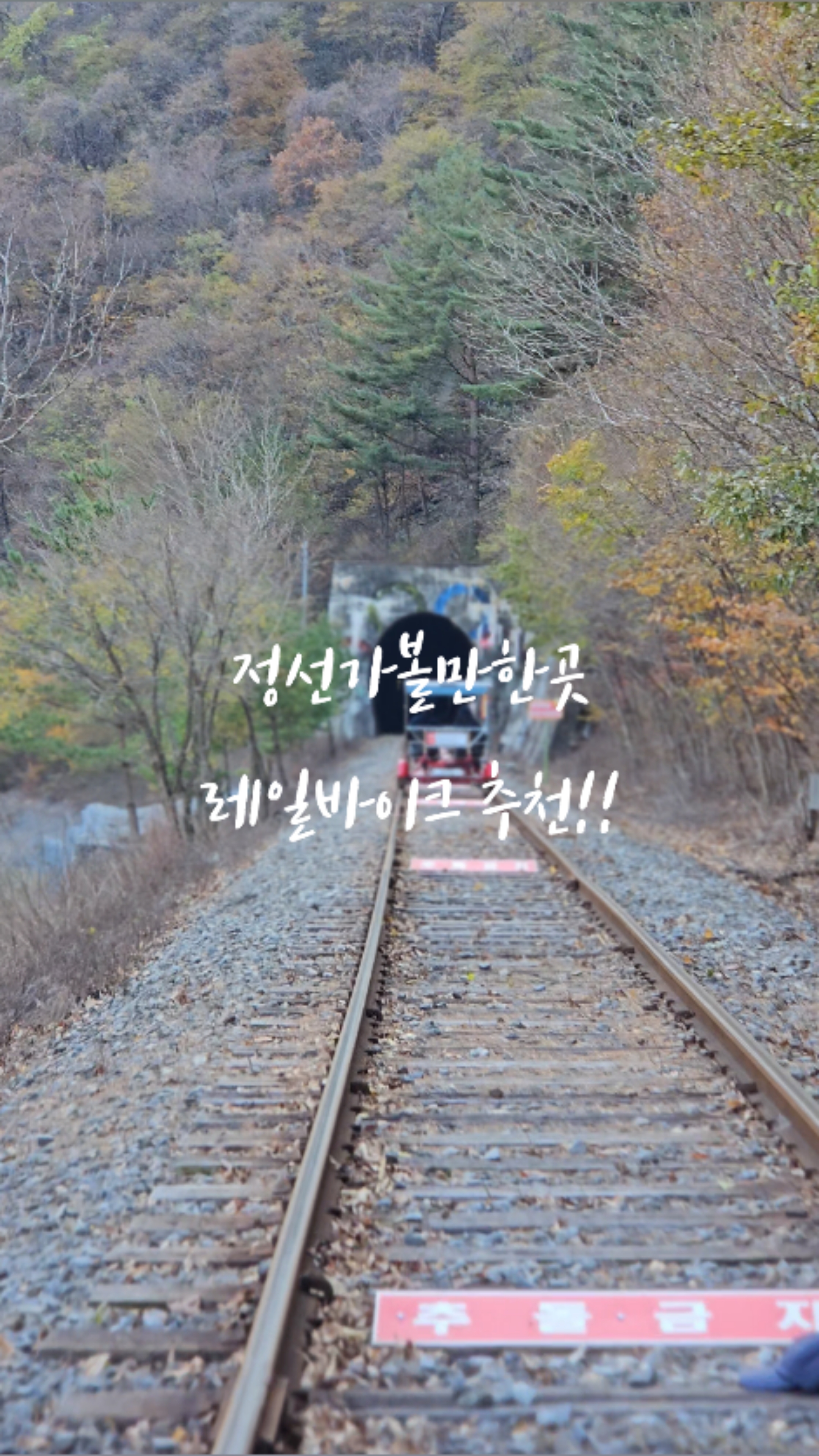 정선레일바이크