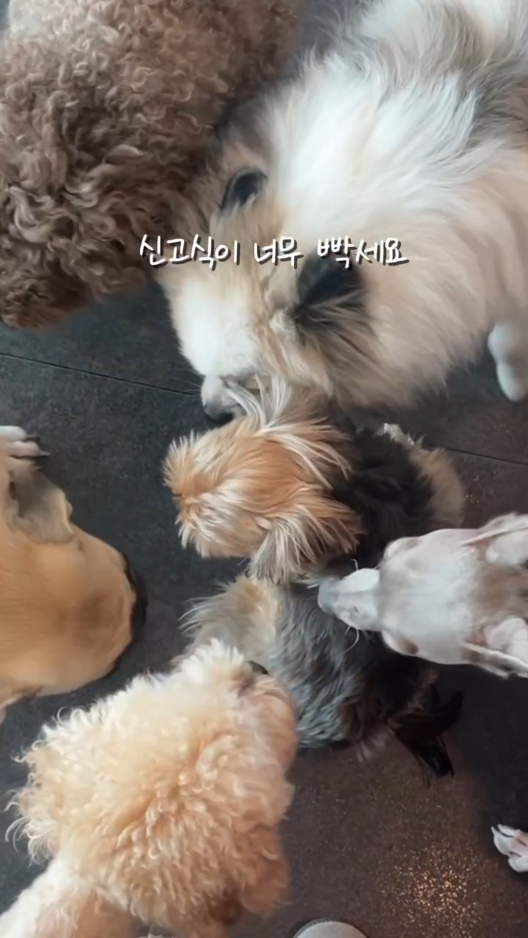 사진 4