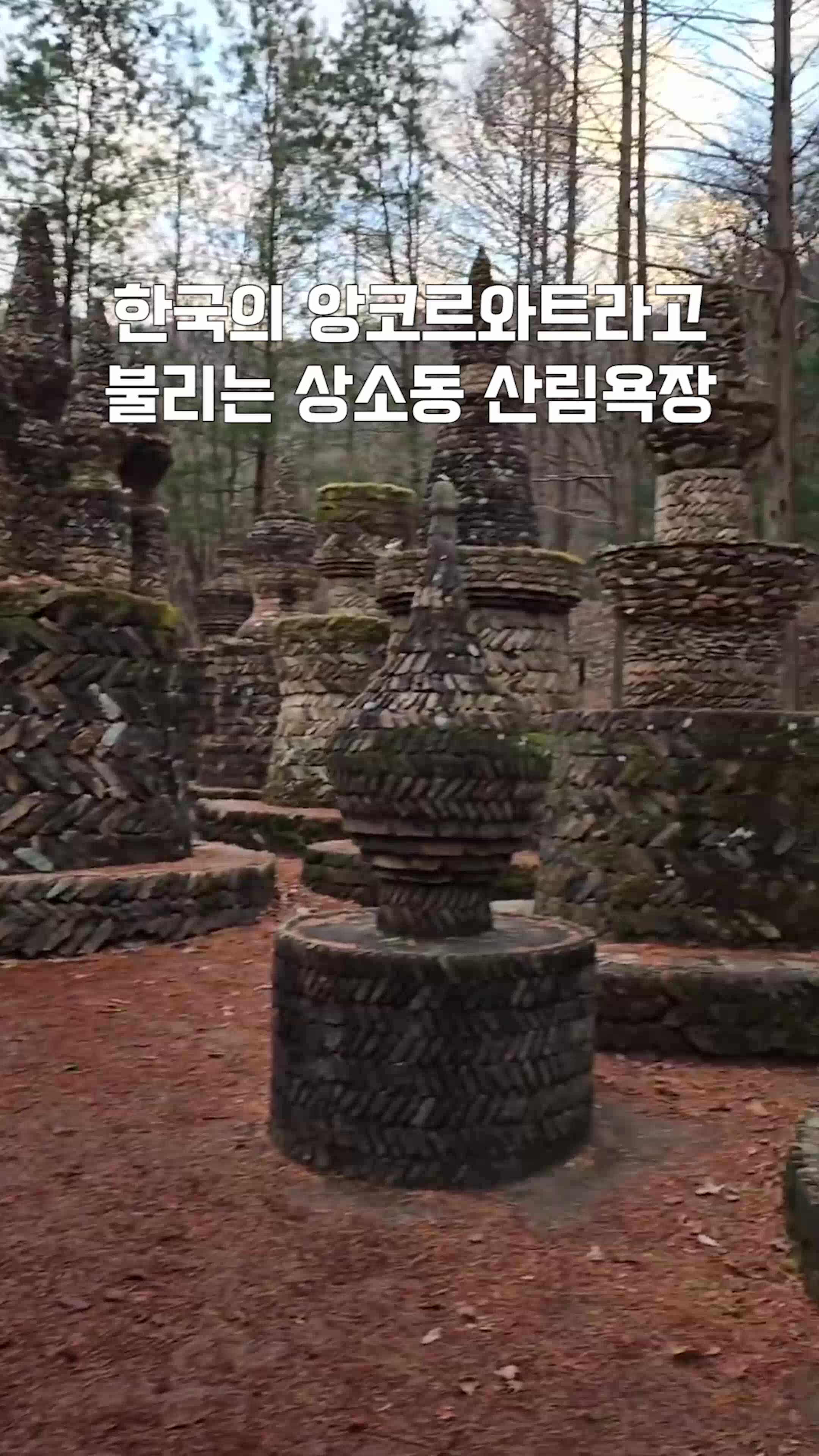한국의 앙코르와트 상소동 산림욕장