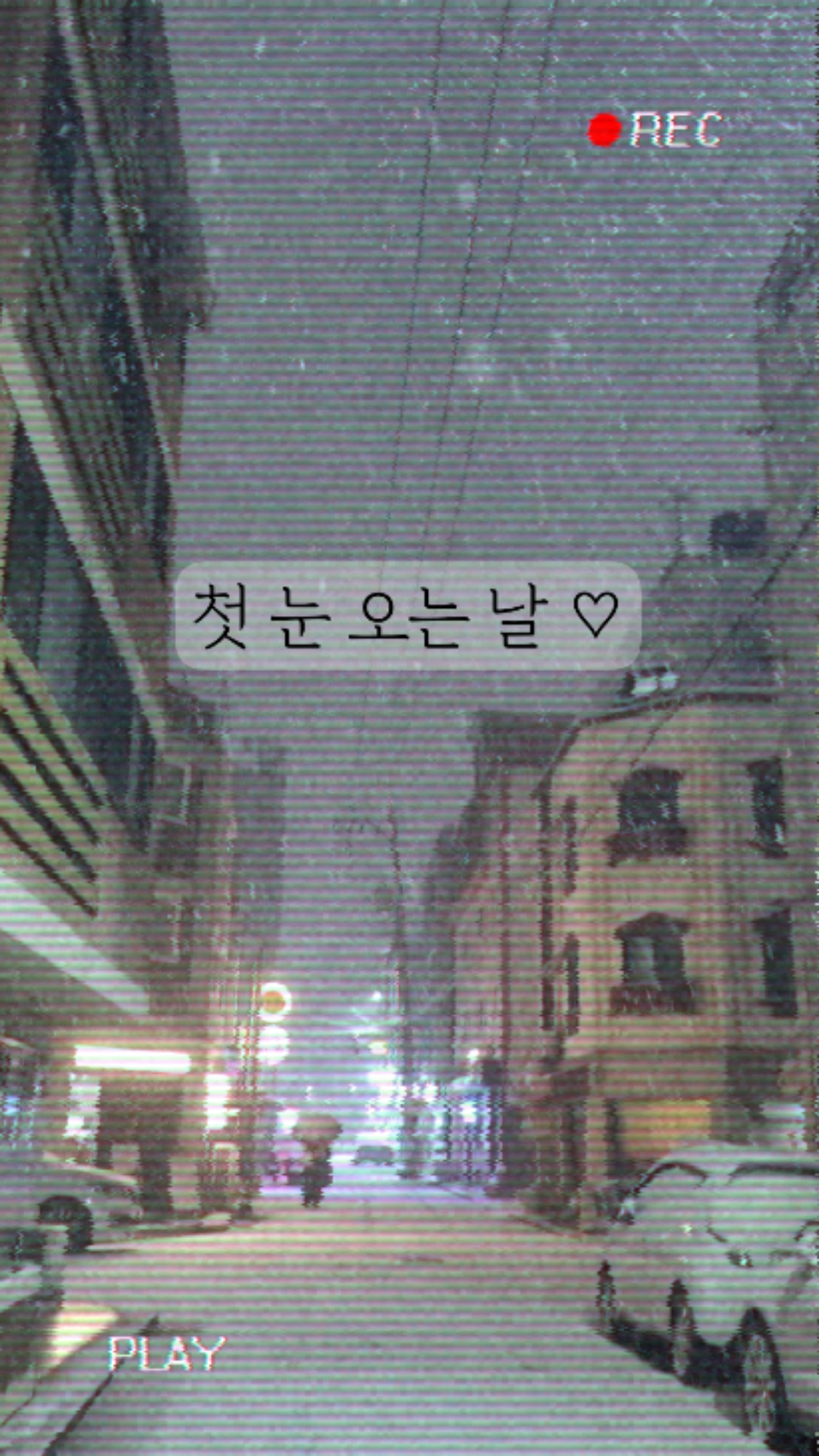 사진 3