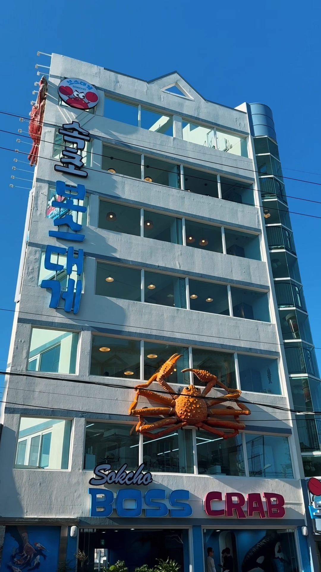 속초 보스대게 (Sokcho Boss Daege) 2