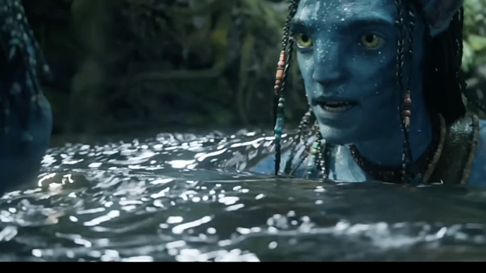 설리 가족에게 포기란 없어🤨 [아바타:불과재]