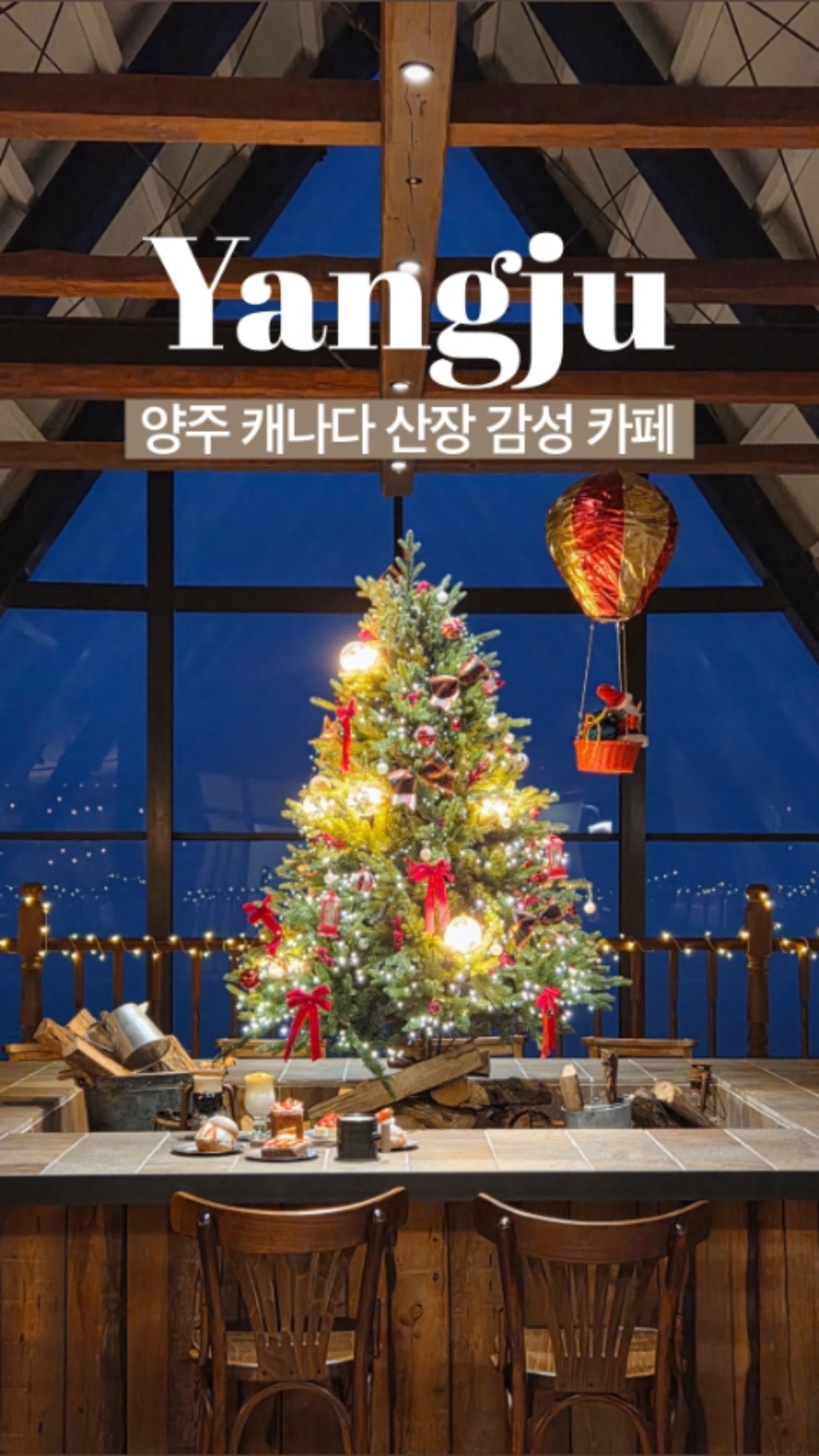 사진 12