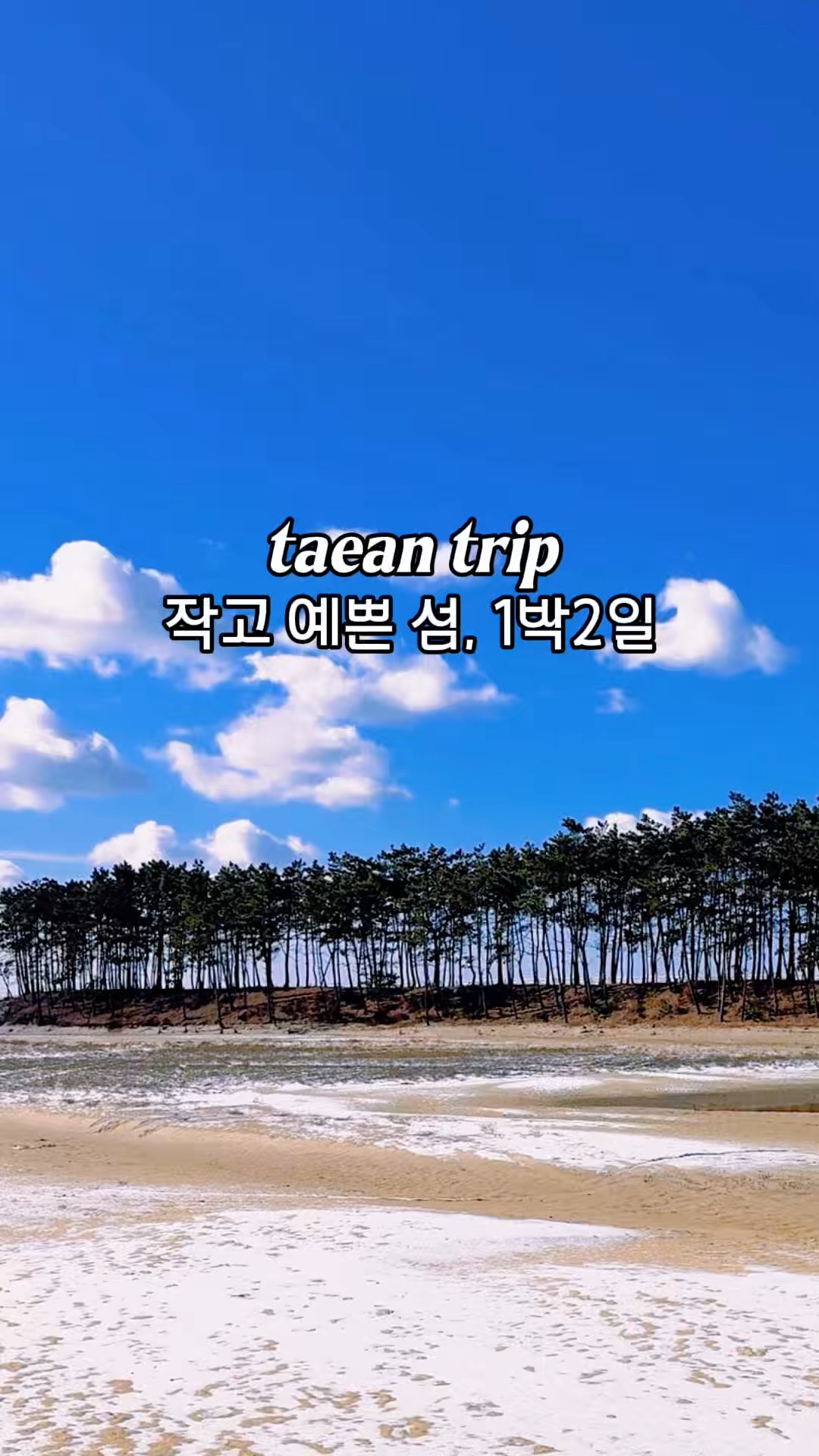 사진 9