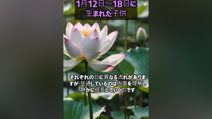 週刊誕生リポート 1月12日から18日 変化と成 - 네이버 TV
