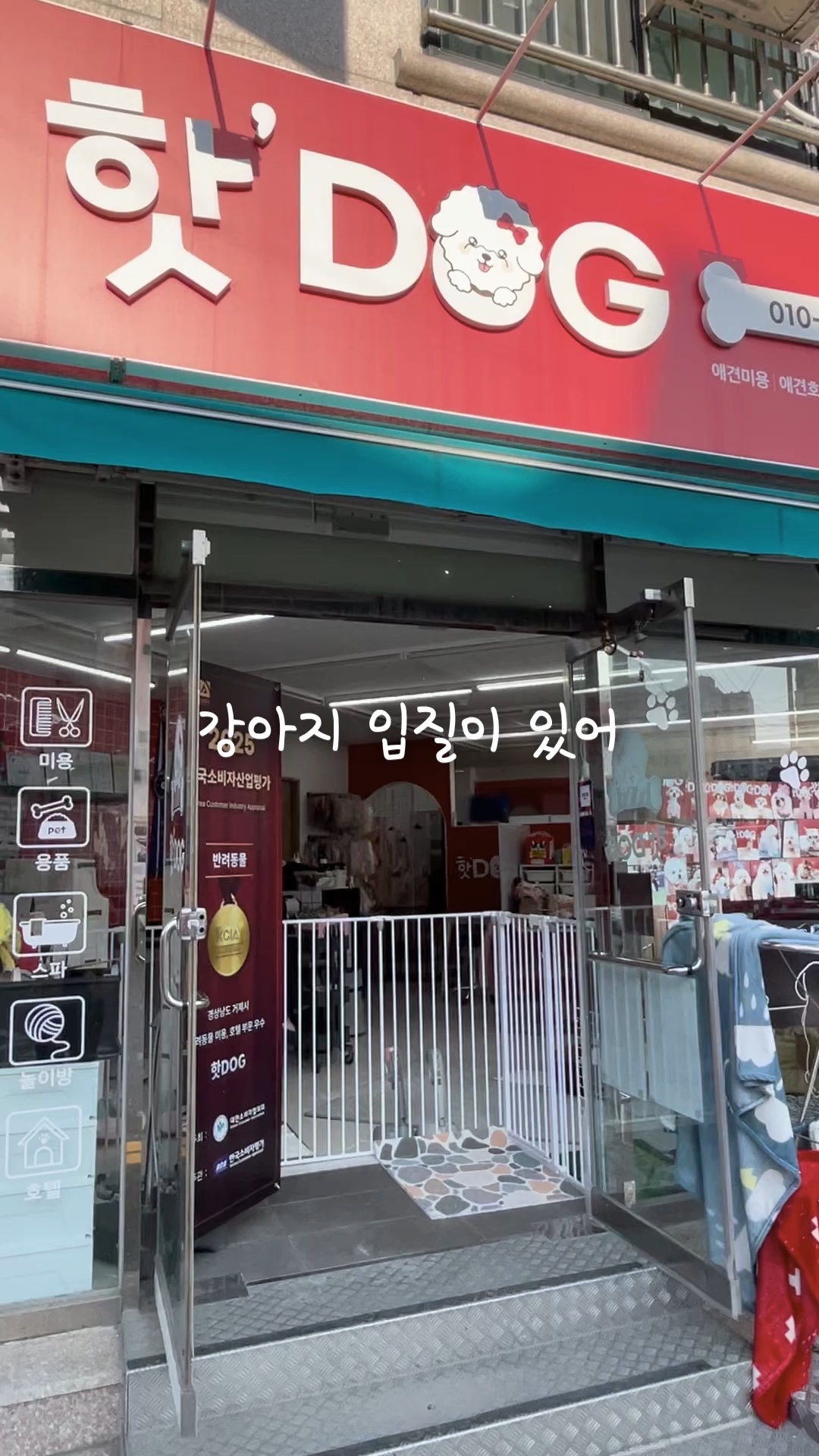 사진 5