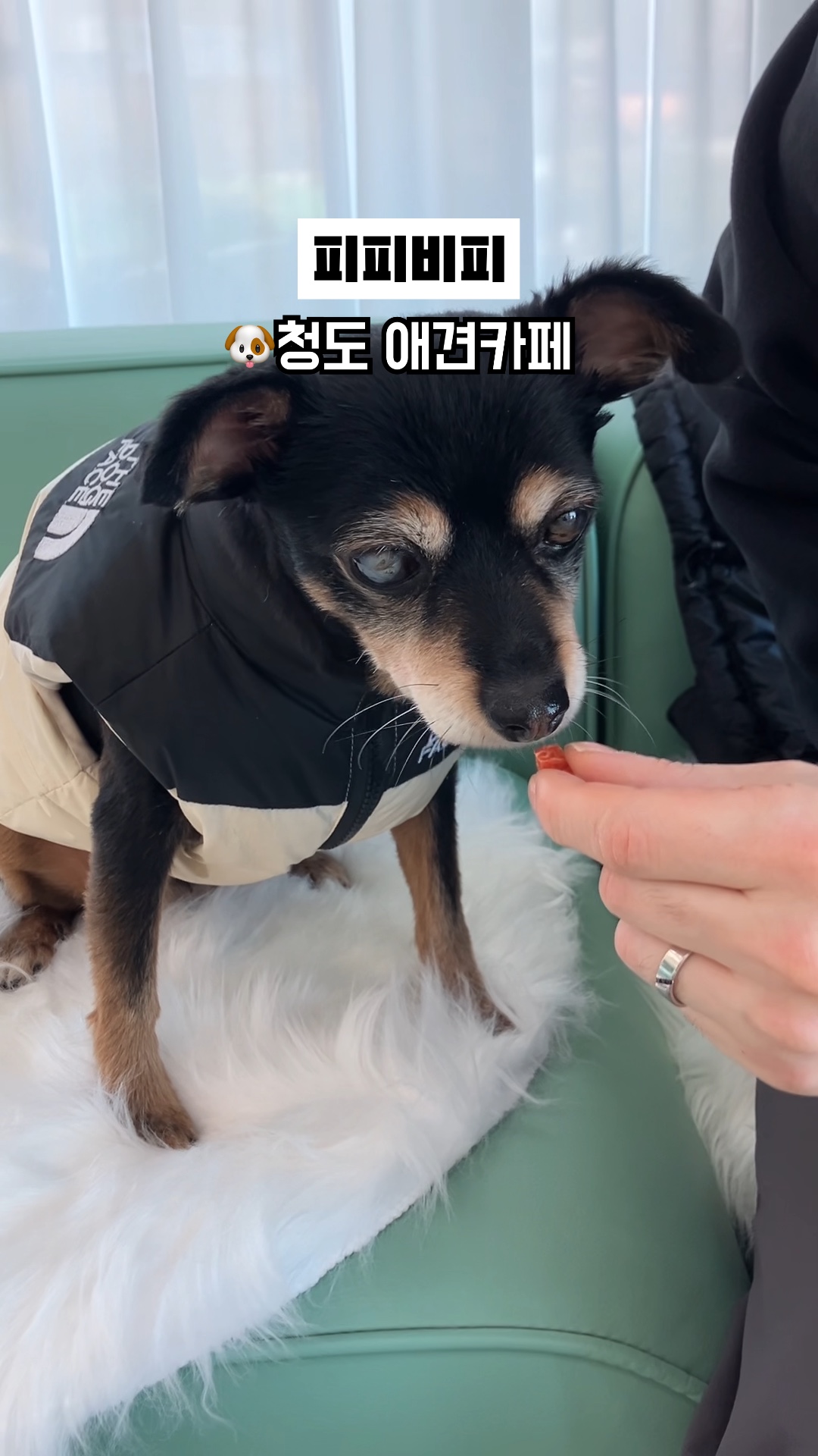 사진 6