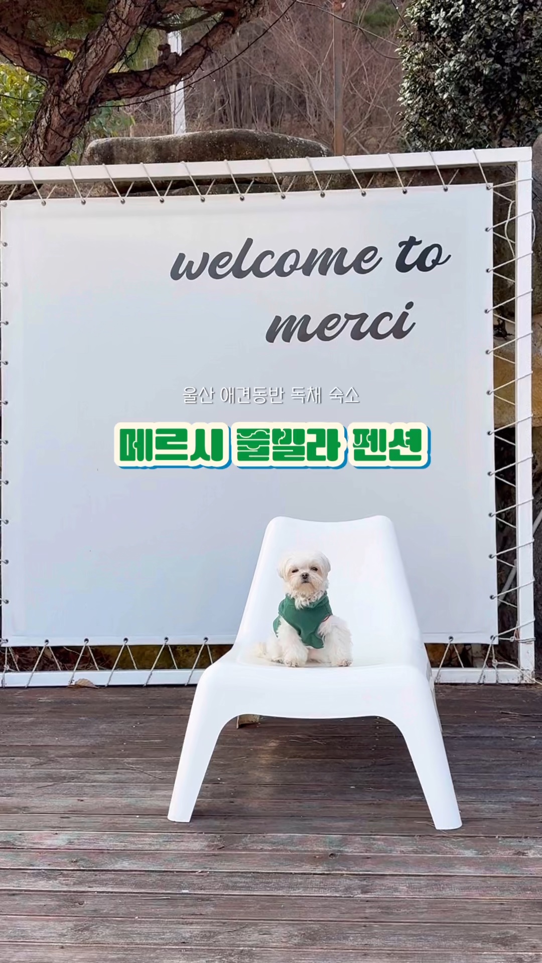 사진 12
