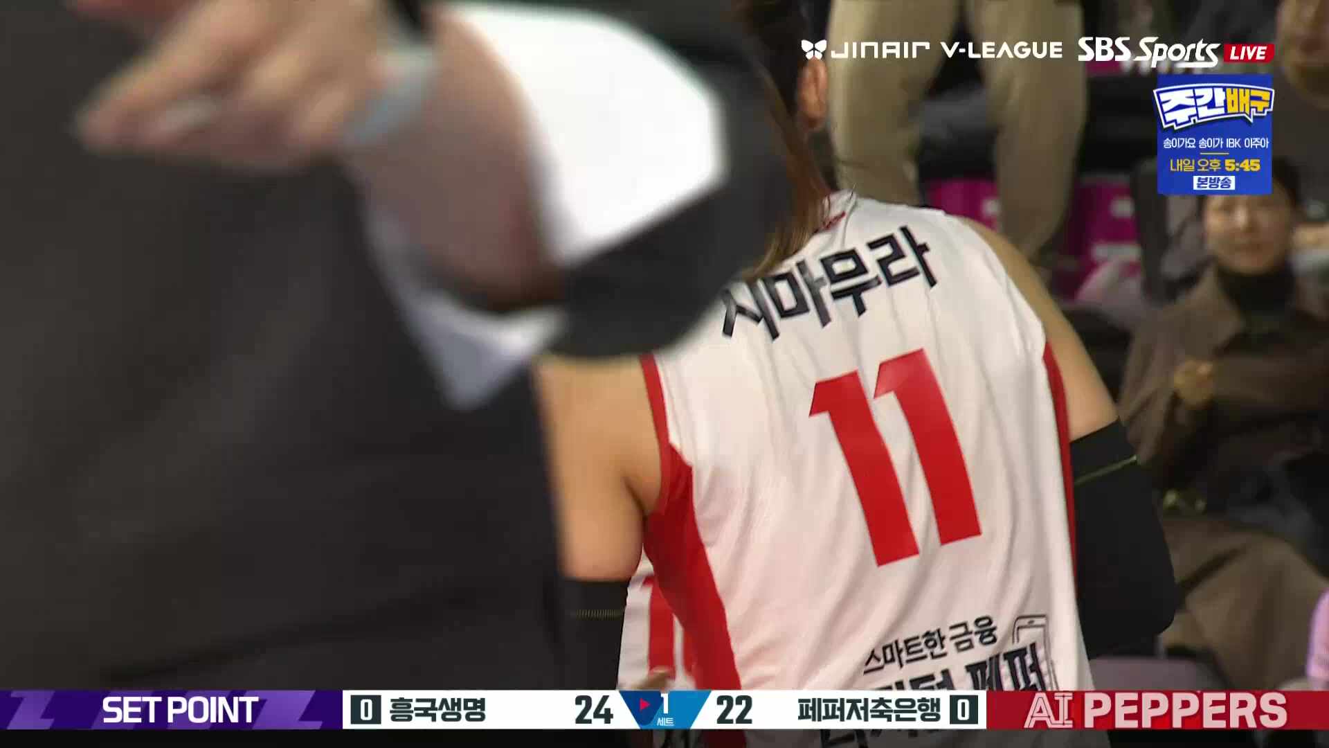 페퍼저축은행 vs 흥국생명 풀영상 (2026.02.01)