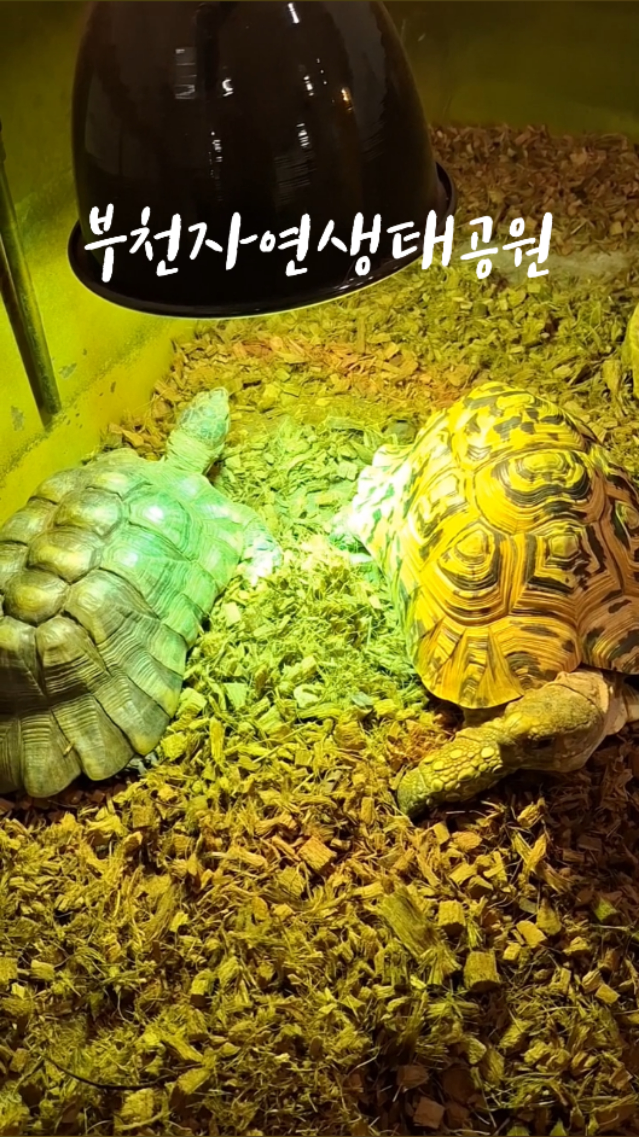사진 2