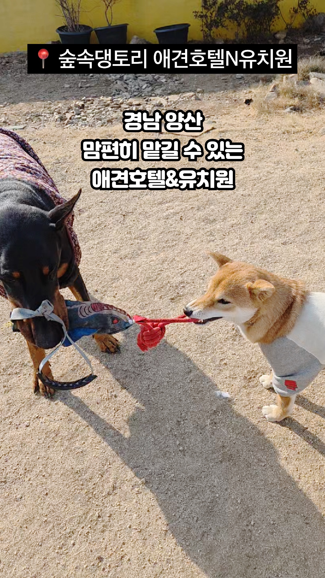 사진 2