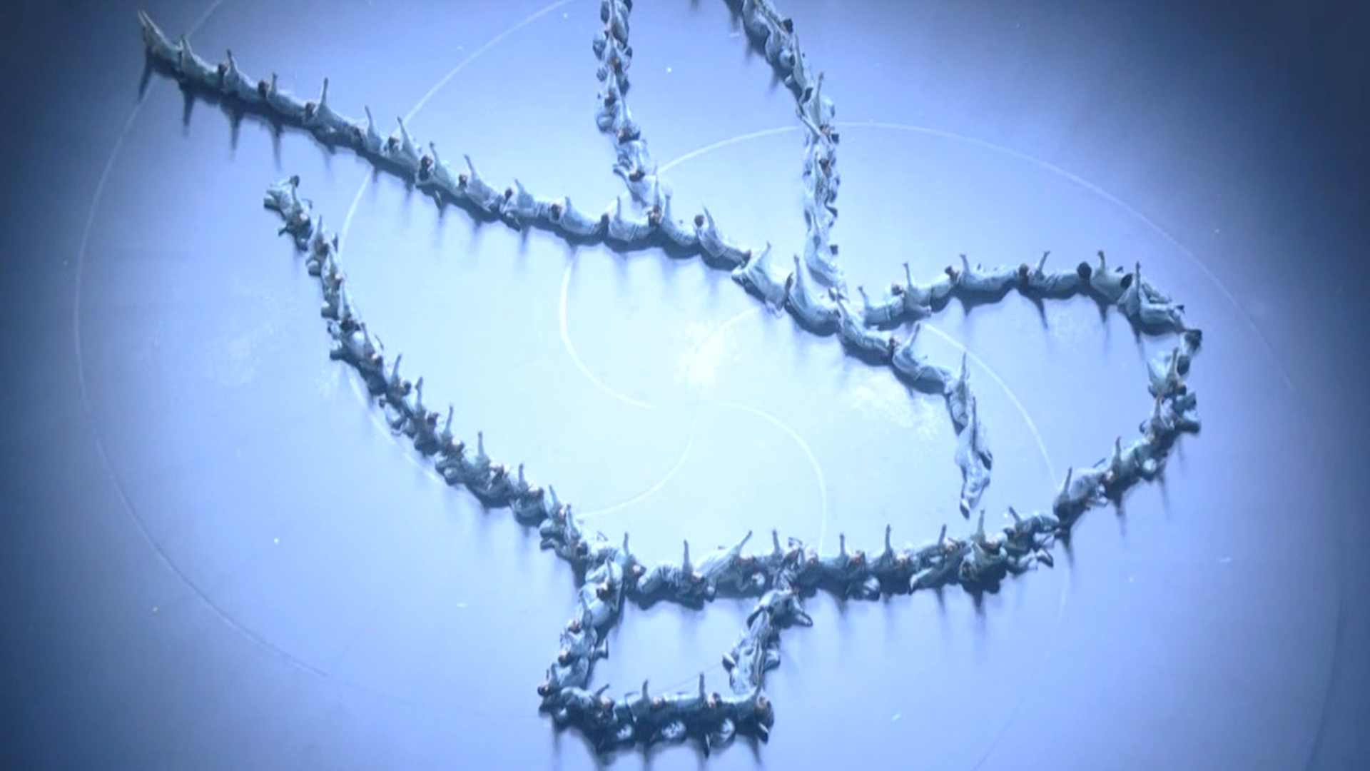 '평화의 비둘기' 이탈리아의 각광받는 아티스트, 갈리의 공연