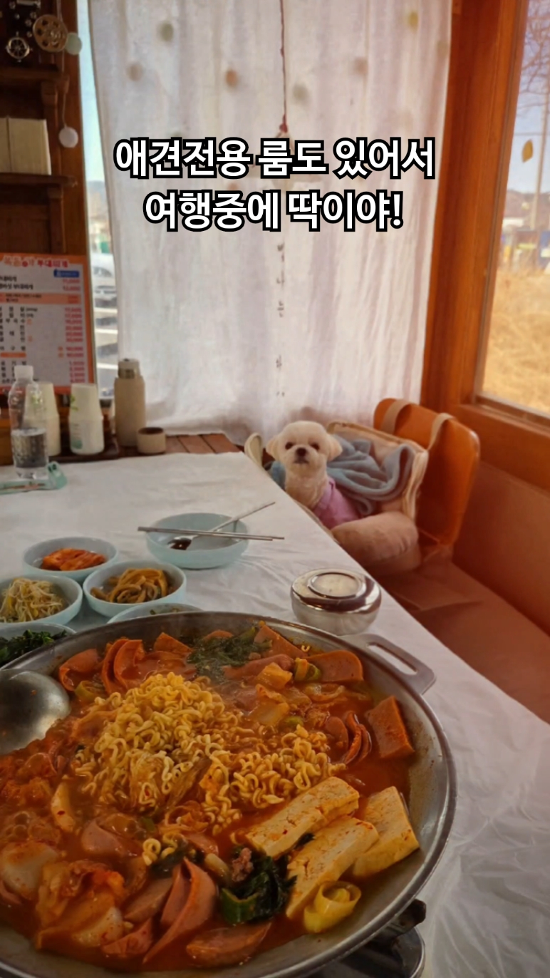 사진 2