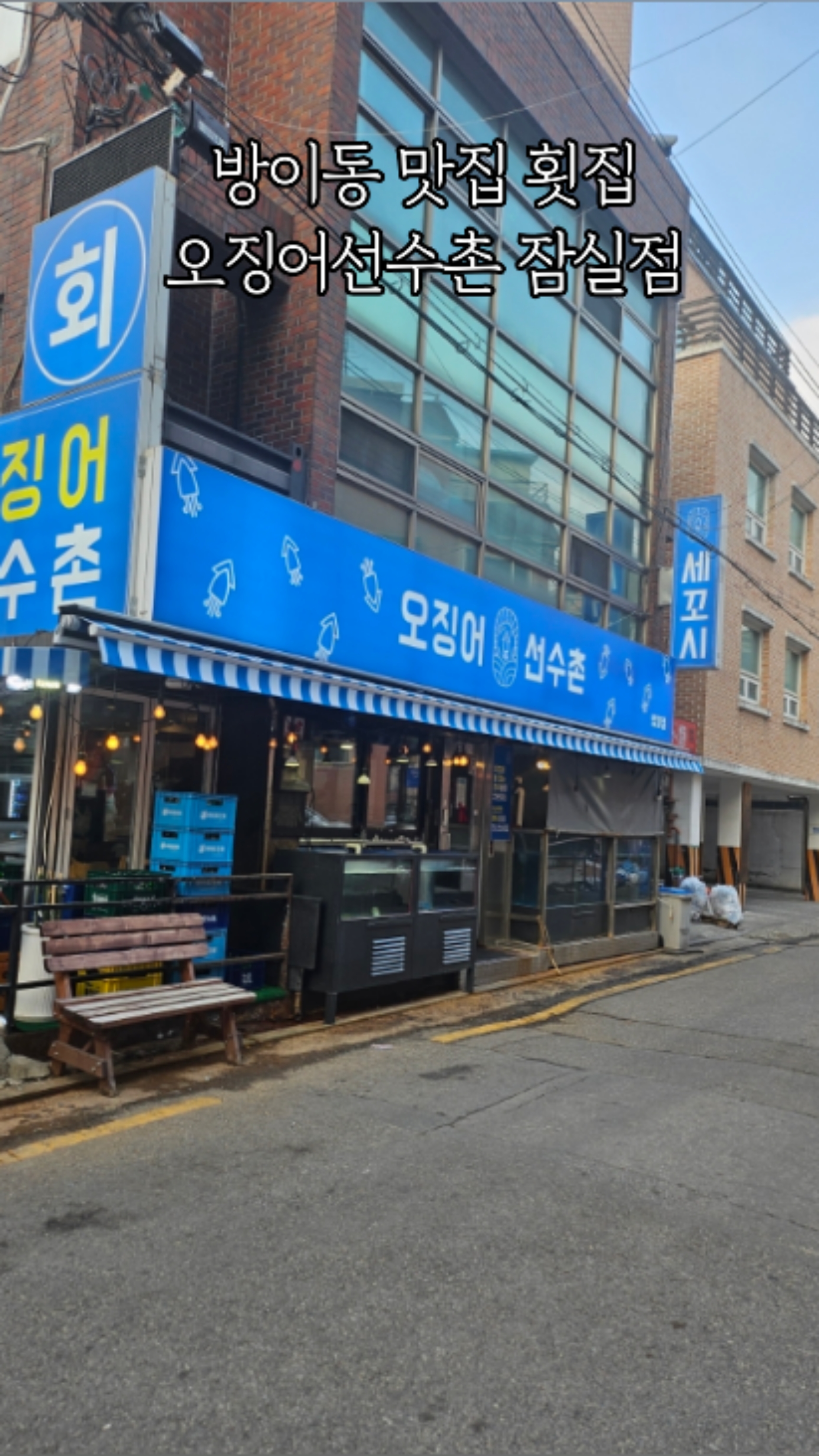 오징어선수촌 잠실점 사진 6