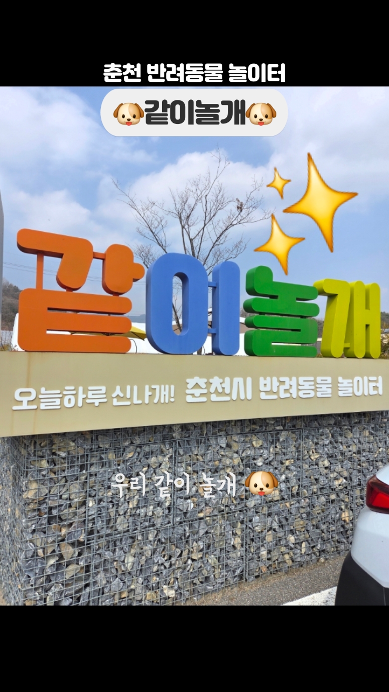 사진 5