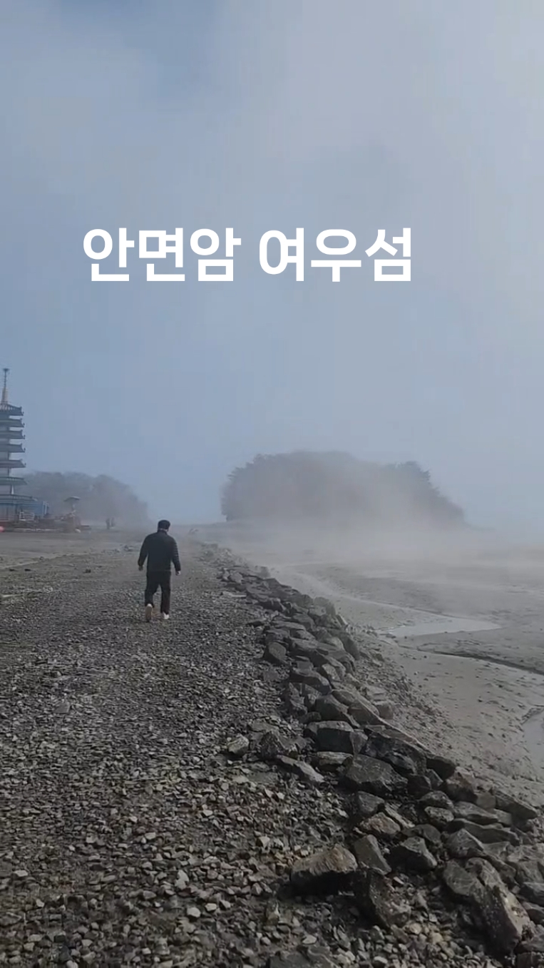 사진 2