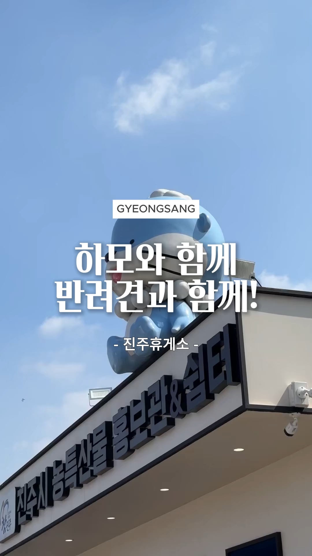 사진 2