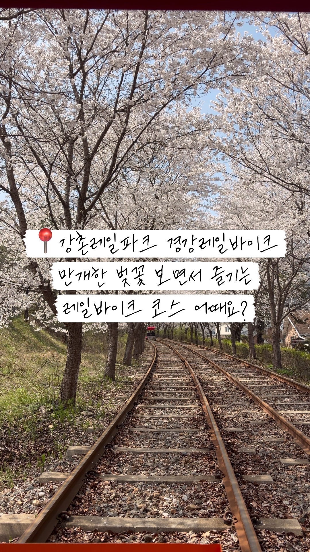 사진 2