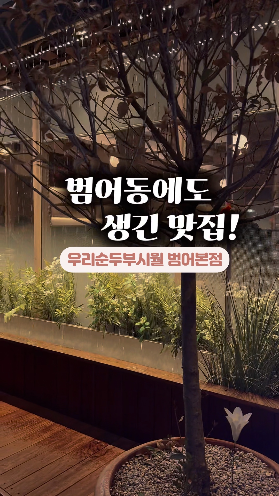 사진 9