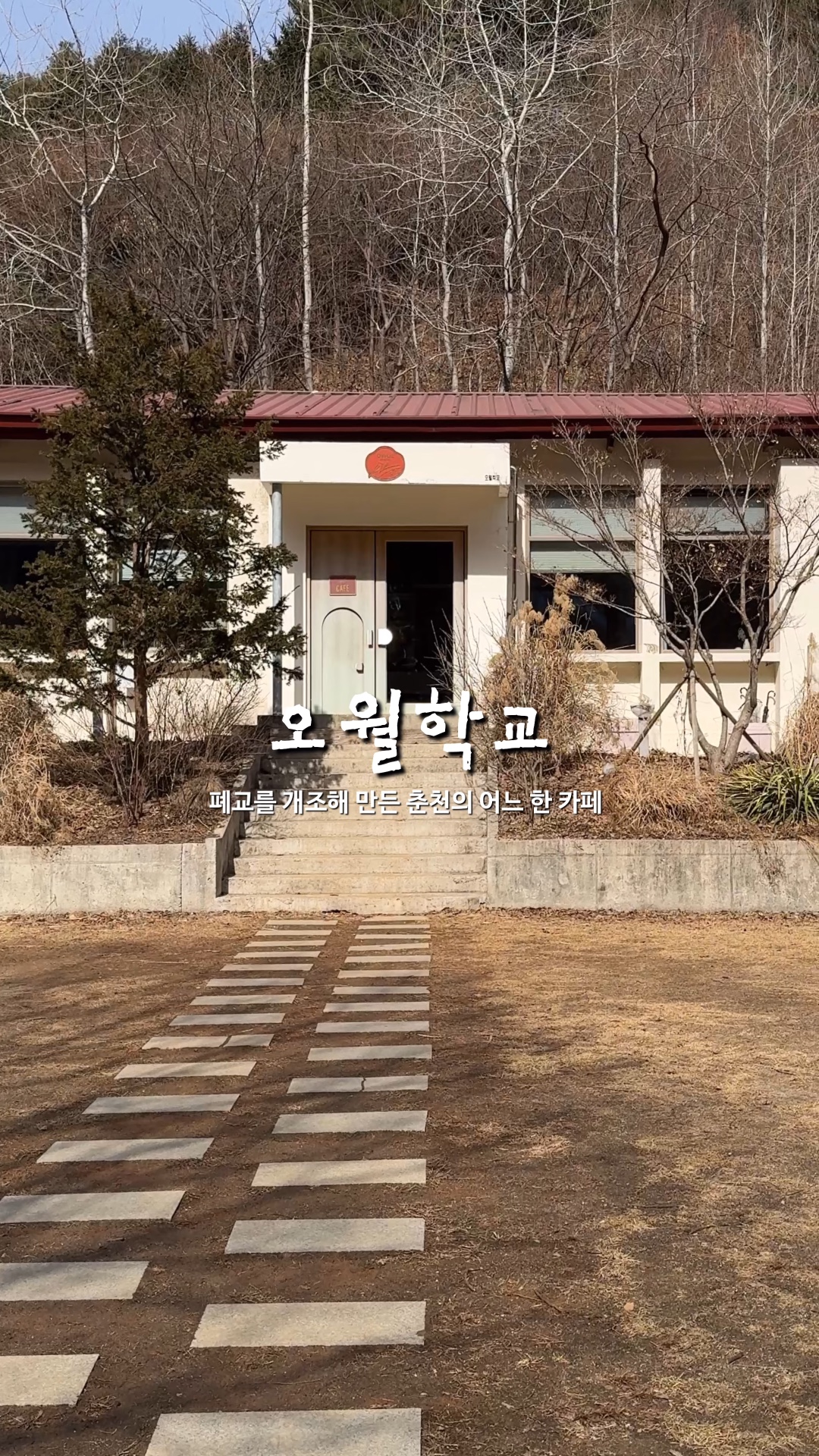 사진 2