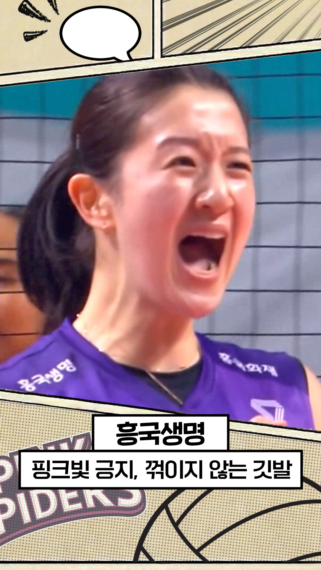 25-26시즌 흥국생명 최종화 : 핑크빛 긍지, 꺾이지 않는 깃발 [V리그 결산]
