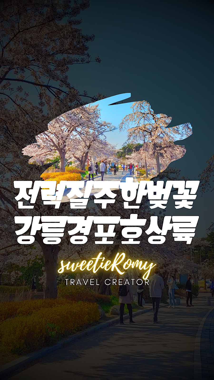 전력 질주한 벚꽃 강릉 경포호 상륙