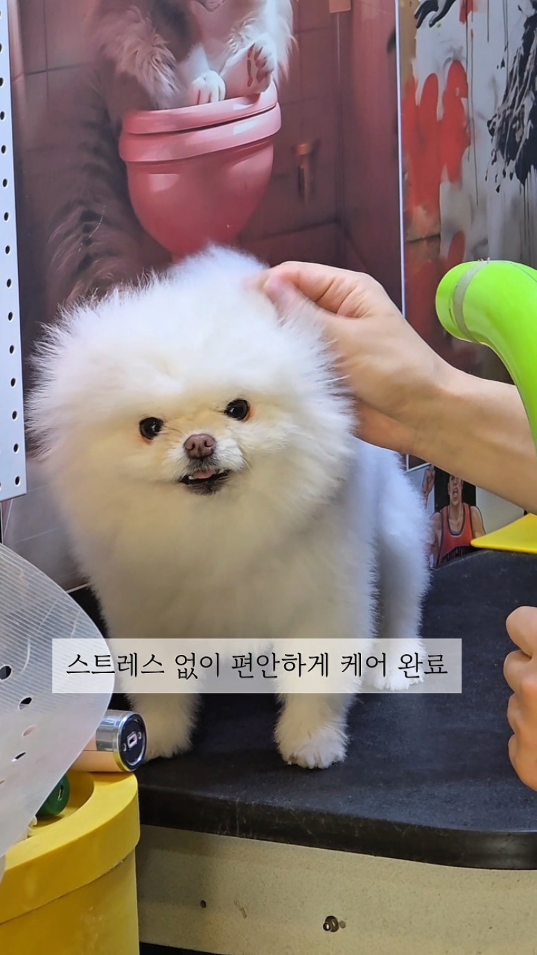 사진 5