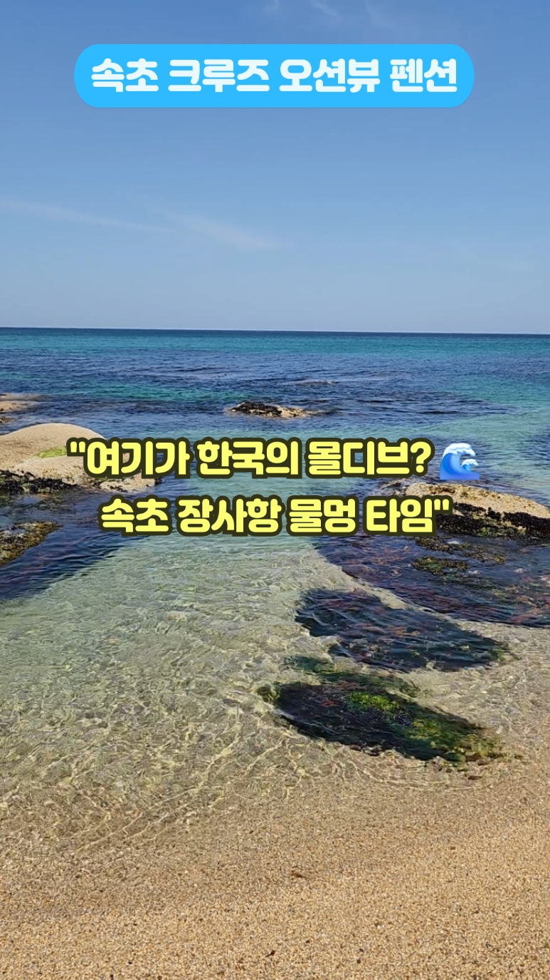 사진 4