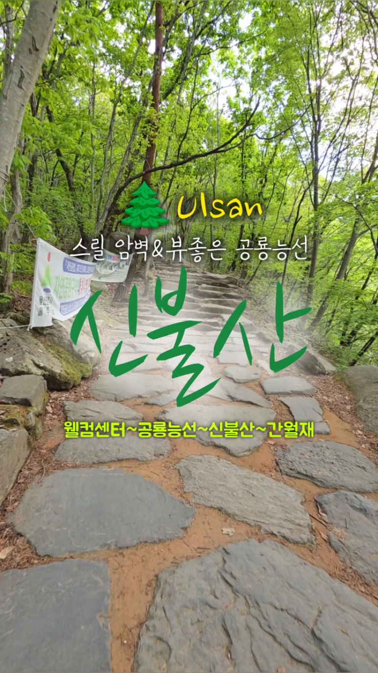 사진 7