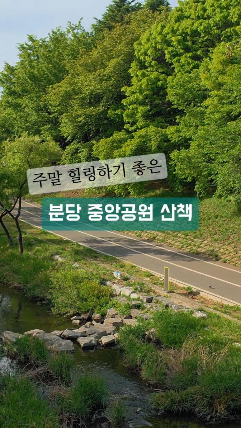 사진 10