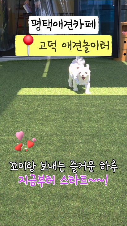 사진 2