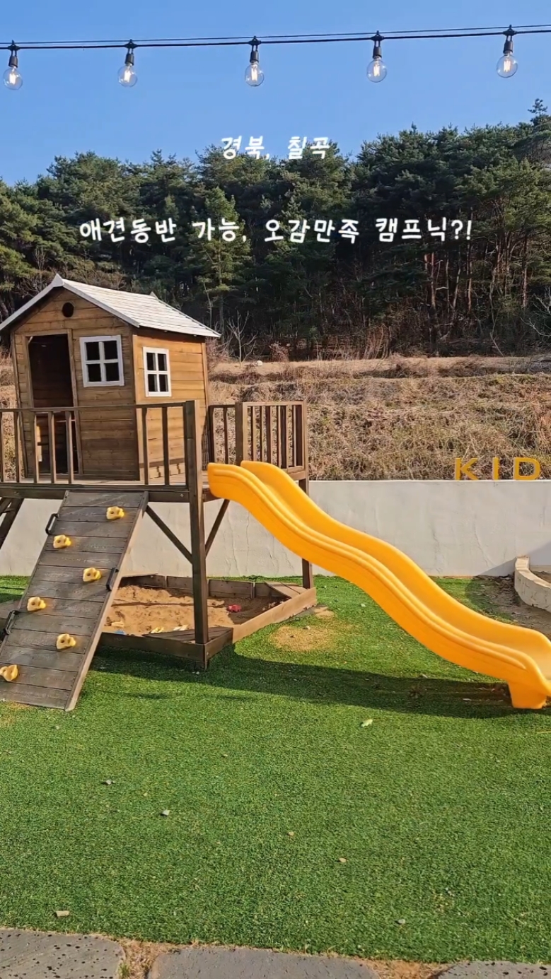 사진 6