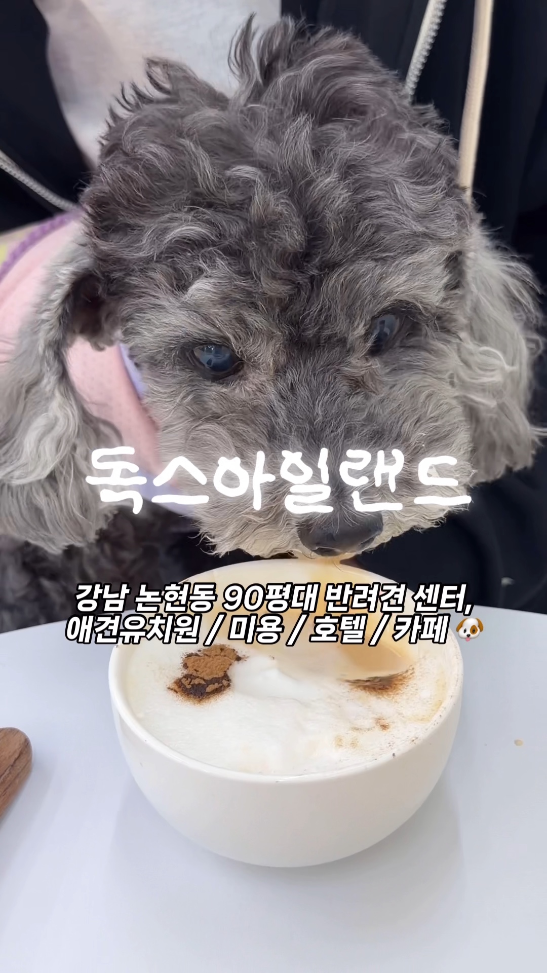 사진 3