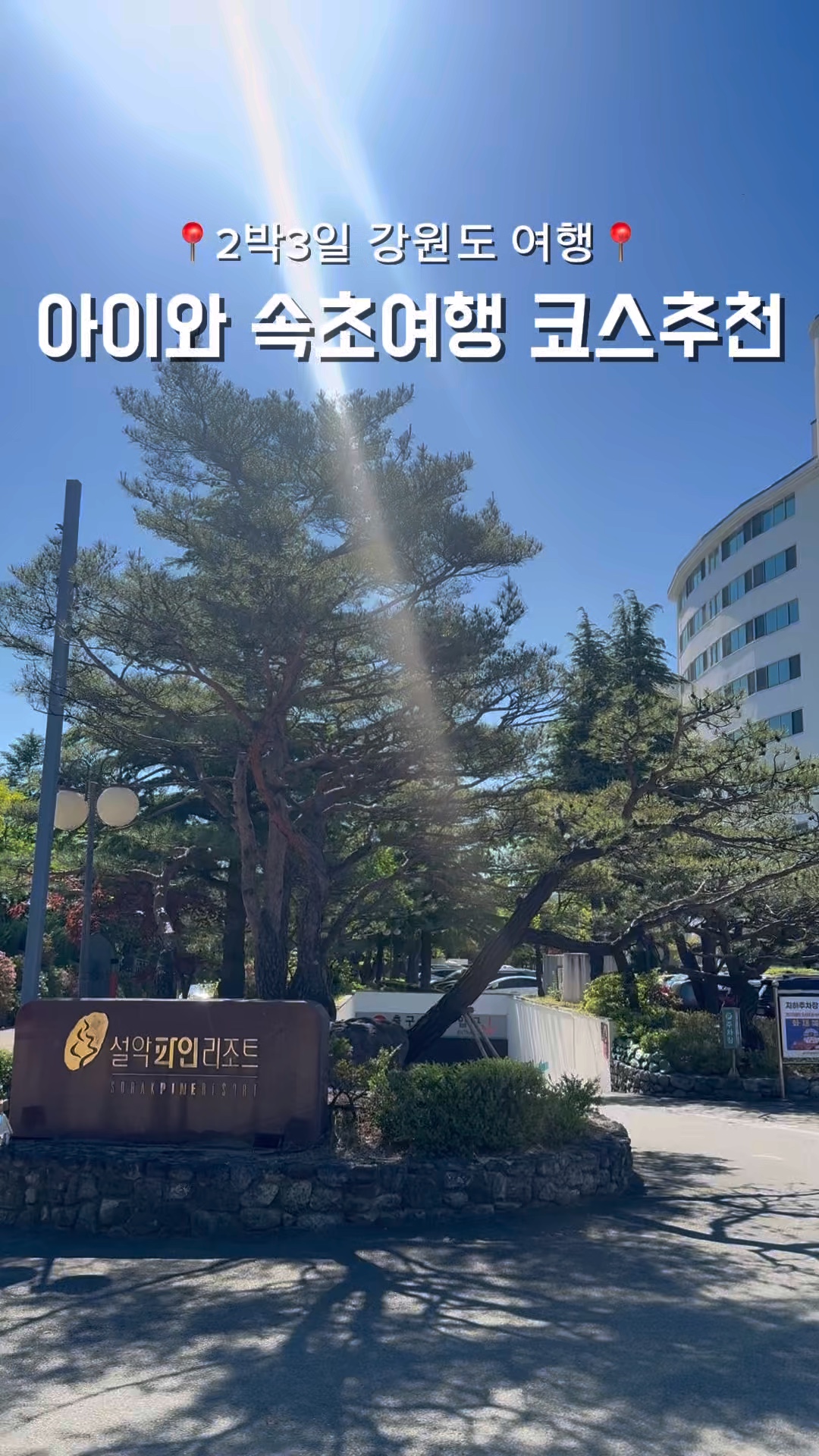 설악파인리조트 4