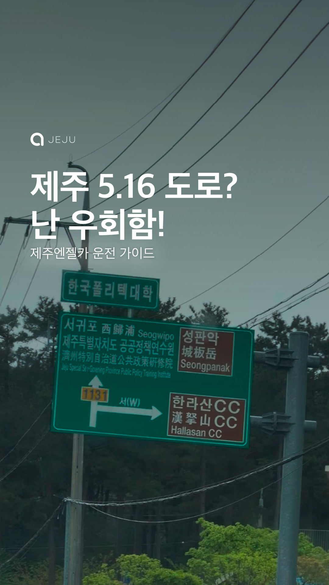 제주도 렌트카 운전 팁! 5.16도로편 🚨