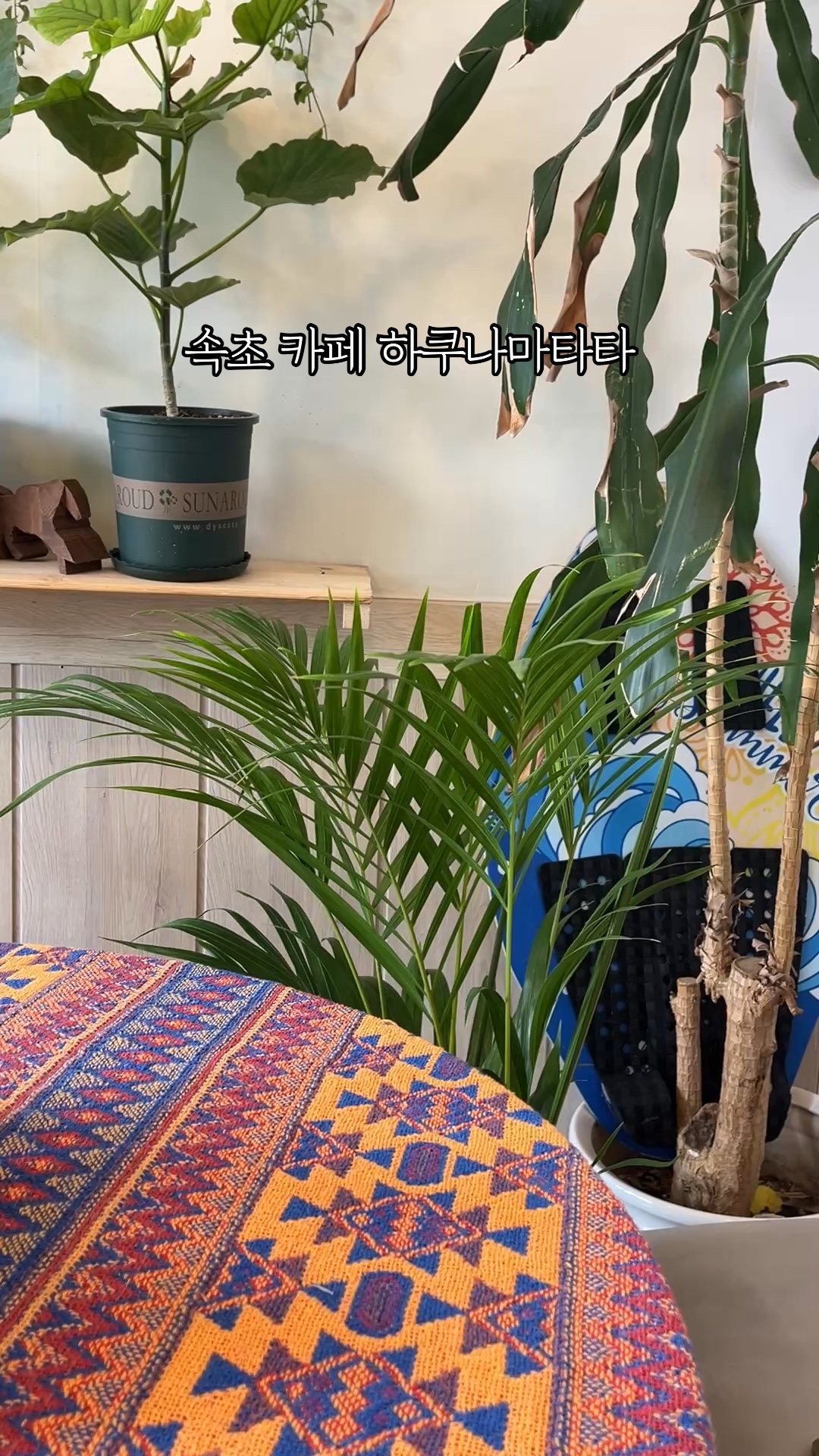 하쿠나마타타 4