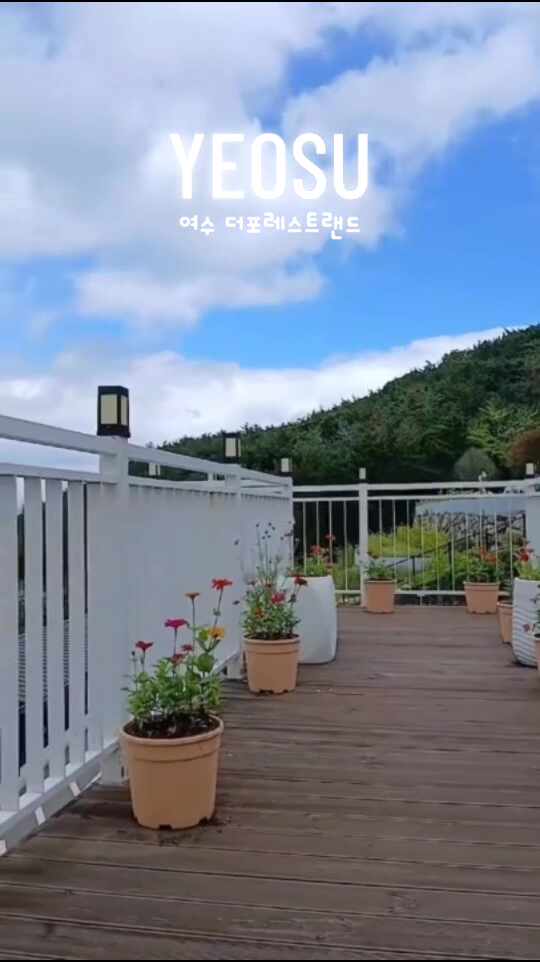여수 돌산 더포레스트랜드 카페 뷰 맛집