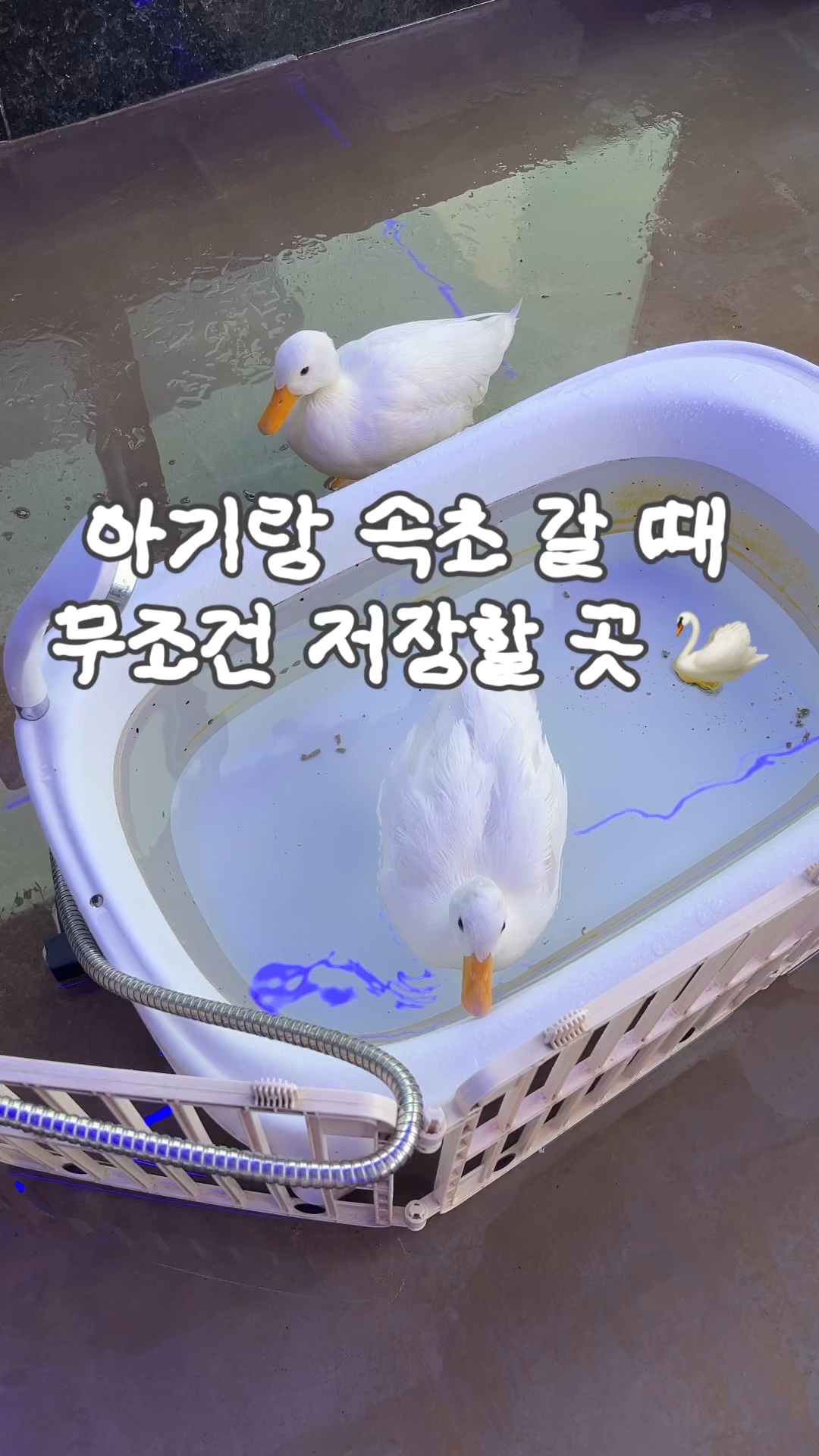 카페온다 (Cafe Onda) 4