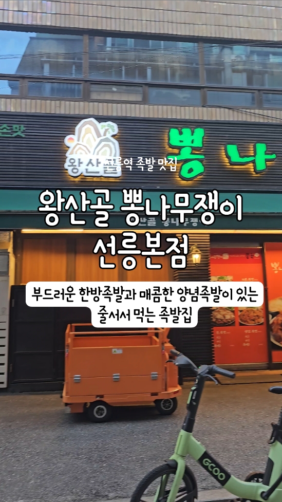 왕산골 뽕나무쟁이 사진 8