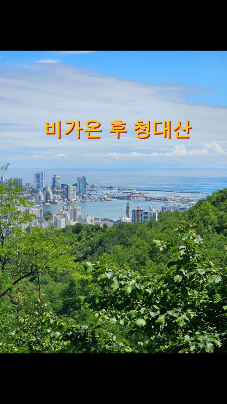 청대산 (Cheongdaesan) 7
