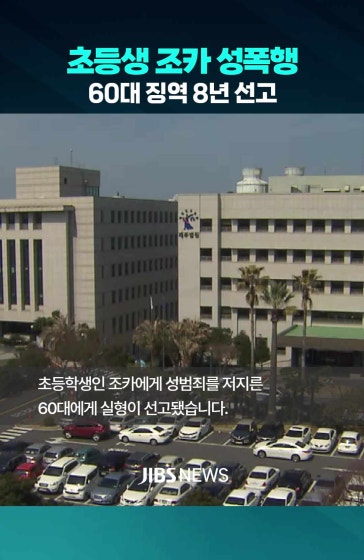 초등생 조카 성폭행 60대.. 징역 8년 선