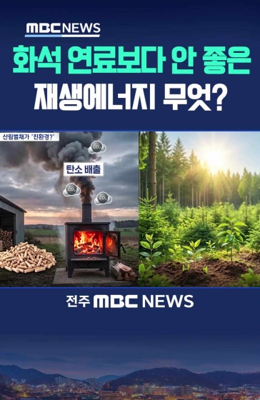  ‘4조’ 보조금이 떠받친 ‘나무 태우기’