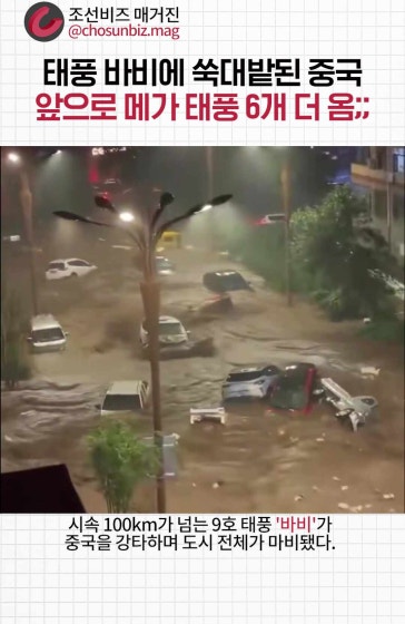 메가 태풍 바비에 쑥대밭된 중국 근황
